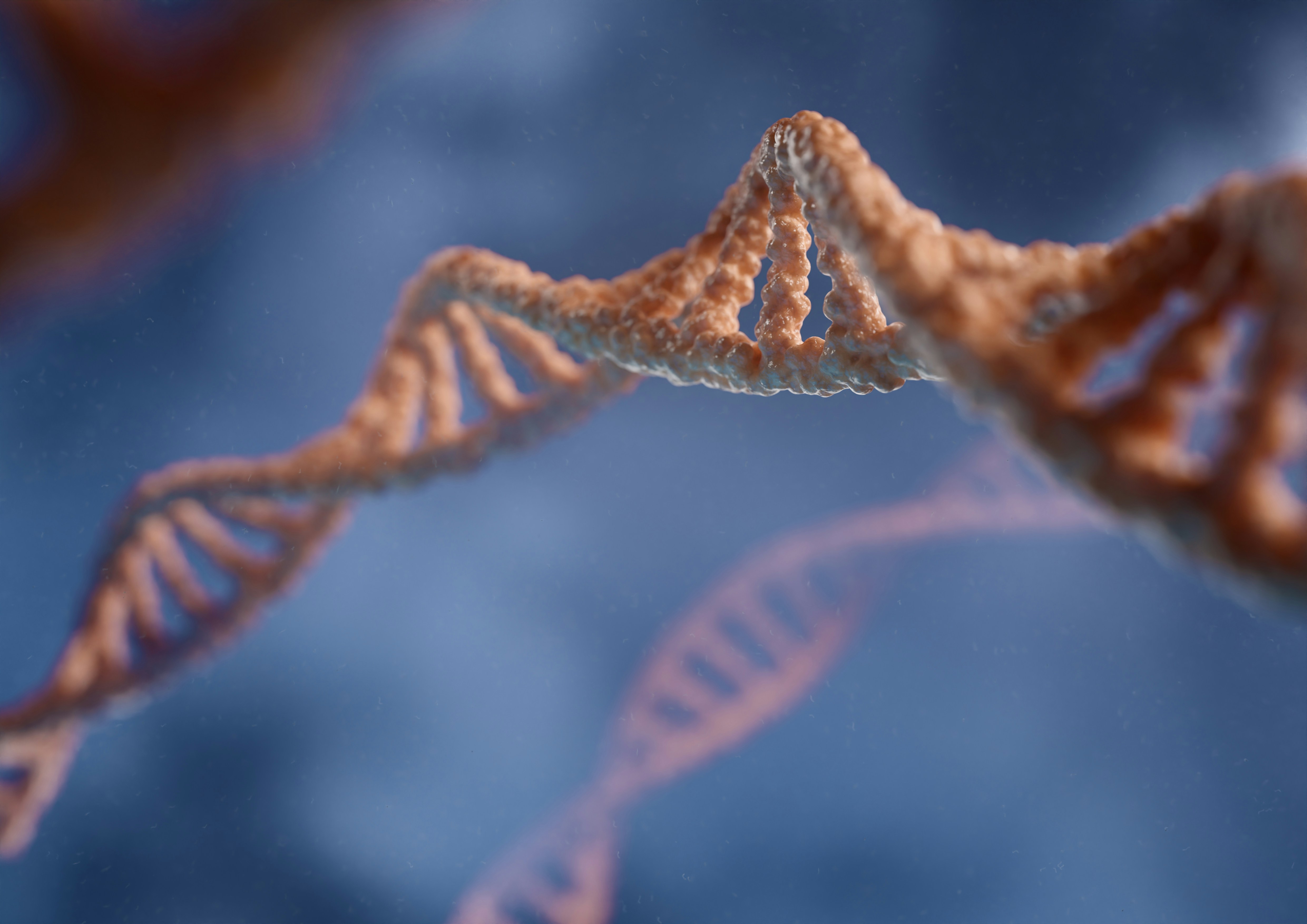 Strands of DNA (image credit: Unsplash)